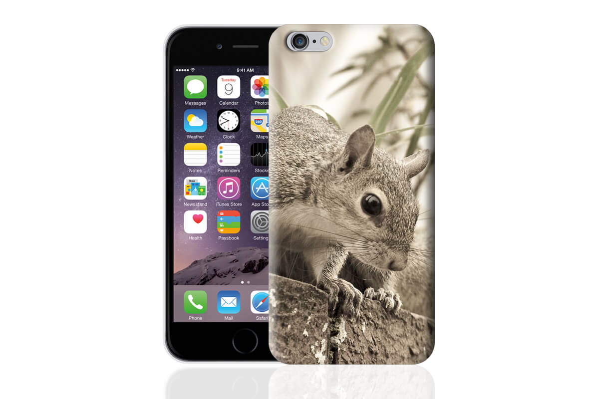 cover-iphone-6-M1