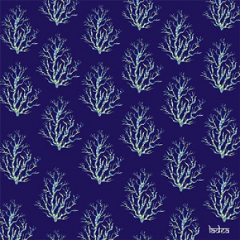 Laura de Alexandris 11