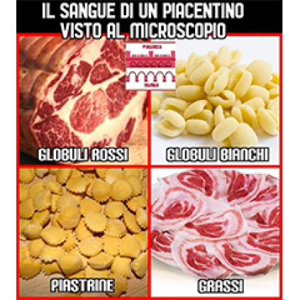 piacenza-memes