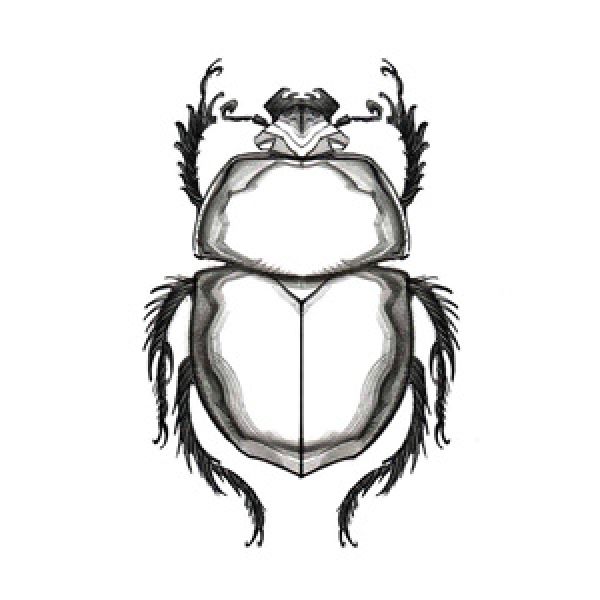 cosmaro scarabeo
