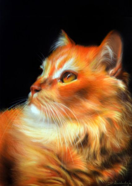 danguole cat