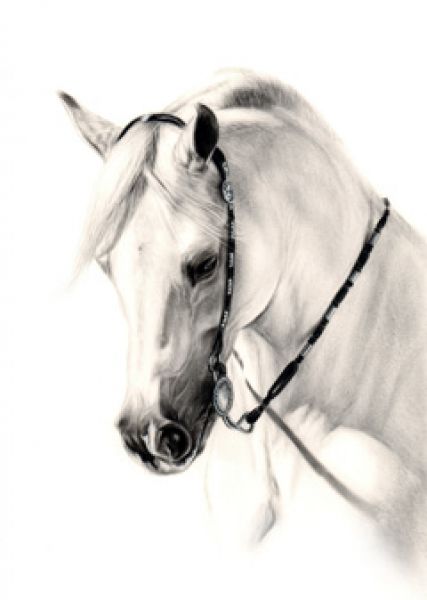 danguole horse