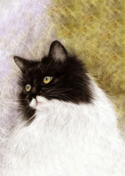 danguole cat