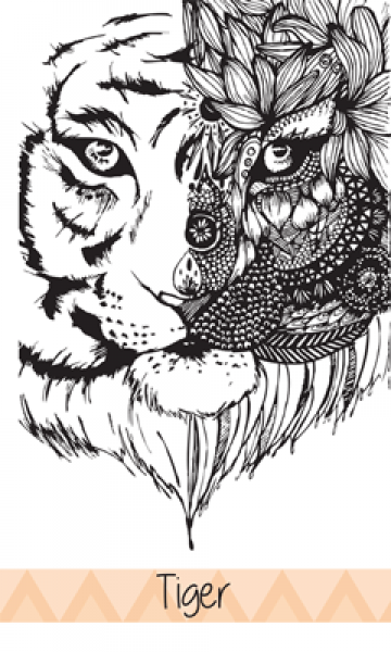 ortuso tiger