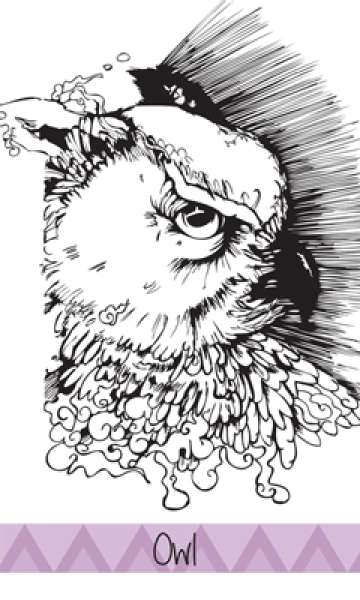 ortuso owl