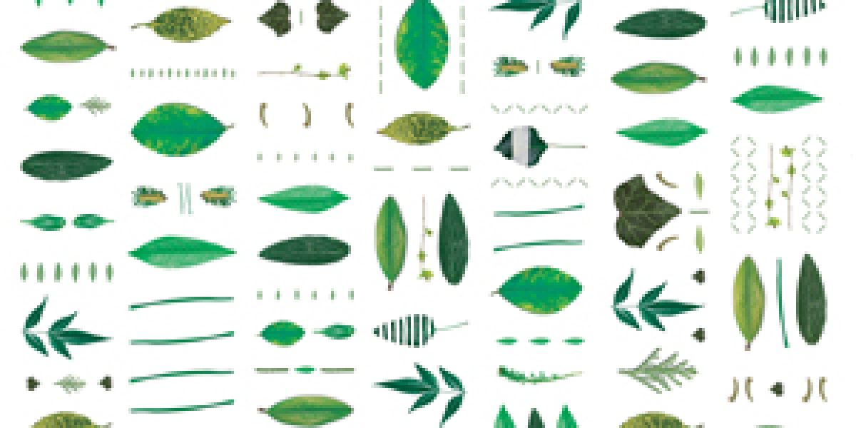mauri texture