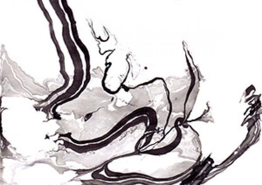 Ciotti Marbling