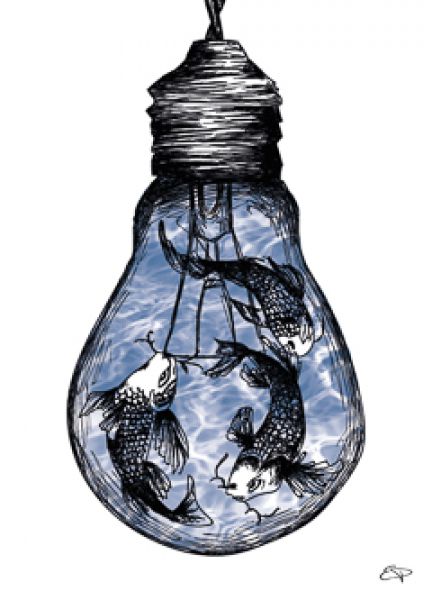 koi